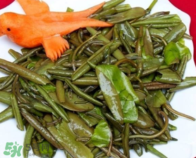 莼菜是什么菜？莼菜是荷葉嗎？
