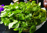 西洋菜怎么摘洗？西洋菜怎么洗才干凈