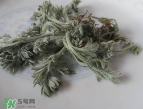白蒿能治黃疸嗎？白蒿水可以治黃疸嗎？