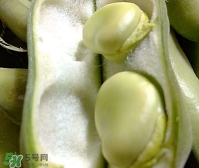 蠶豆多少錢一斤？蠶豆多少錢一斤2017？