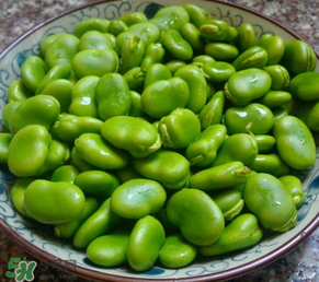 蠶豆多少錢一斤？蠶豆多少錢一斤2017？