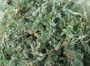 白蒿多少錢一斤？白蒿的價(jià)格