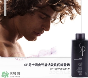 sp威娜是什么牌子？威娜是哪個國家什么檔次？