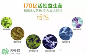 益生菌哪個牌子好？哪個牌子的益生菌好？
