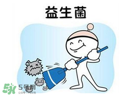 益生菌哪個牌子好？哪個牌子的益生菌好？