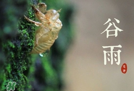 谷雨養(yǎng)生吃什么？谷雨養(yǎng)生常識(shí)