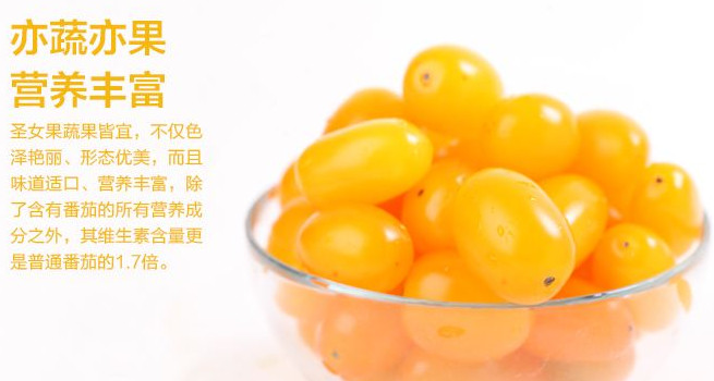 圣女果能減肥嗎？圣女果可以減肥嗎