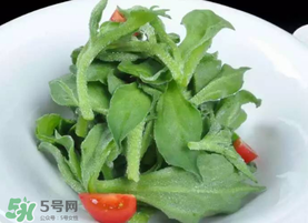 冰草不能和什么一起吃？冰草不能和什么同時吃？