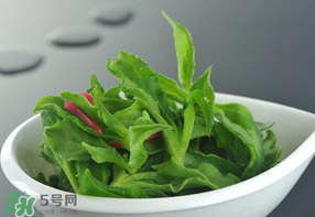 冰草可以放冰箱嗎？冰草能用冰塊保存嗎？