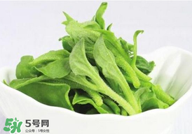冰草多少錢一斤？非洲冰草多少錢一斤？