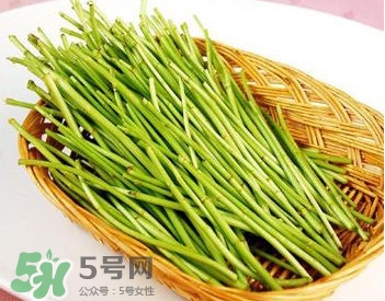 蘆蒿與茼蒿有什么區(qū)別？蘆蒿和茼蒿的區(qū)別