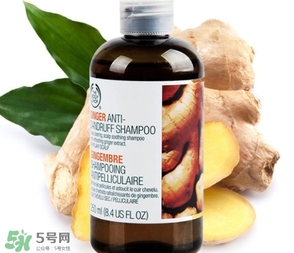 美體小鋪生姜洗發(fā)水怎么樣？the body shop生姜洗發(fā)水使用心得