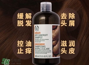 美體小鋪生姜洗發(fā)水怎么樣？the body shop生姜洗發(fā)水使用心得