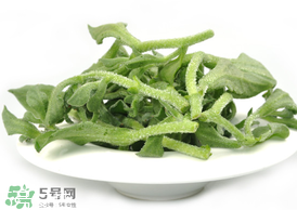 ?冰草為什么會酸？冰草為什么是酸的？