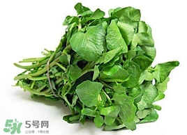 哺乳期能吃西洋菜嗎？哺乳期可以吃西洋菜嗎
