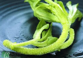 冰草吃了有什么好處？冰草的營養(yǎng)價(jià)值