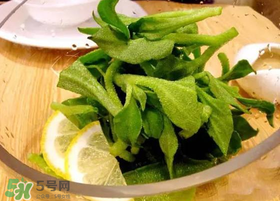 冰草用什么醬？冰草用什么醬好吃？