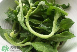 冰菜為什么會酸？冰菜為什么是咸的？
