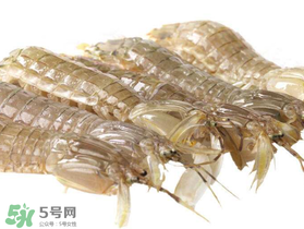 蝦爬子什么季節(jié)最肥？蝦爬子幾月份最肥？