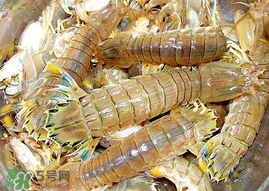 蝦爬子能冷凍嗎？蝦爬子可以冷藏嗎？