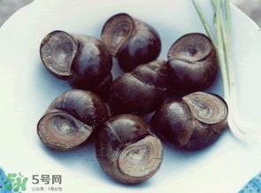 田螺不能和什么一起吃？田螺和什么不能一起吃？