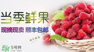 刺泡是覆盆子嗎？刺泡和覆盆子的區(qū)別