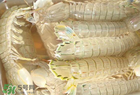 蝦爬子綠色怎么回事？蝦爬子變黑還能吃嗎？