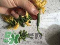 黃瓜花能吃嗎？黃瓜花怎么吃
