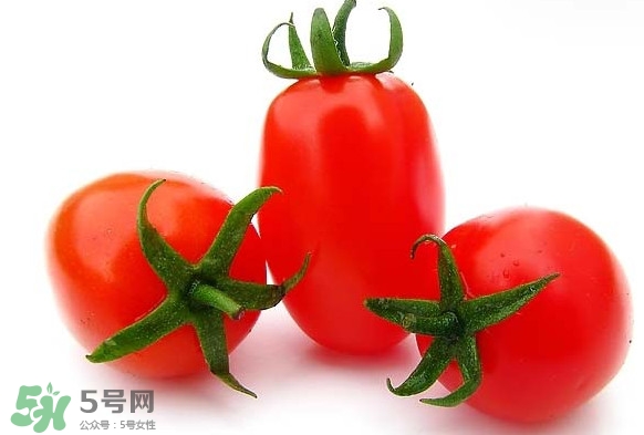 圣女果是水果還是蔬菜？圣女果屬于蔬菜還是水果