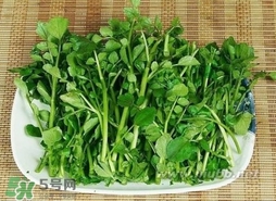 哺乳期能吃西洋菜嗎？哺乳期可以吃西洋菜嗎