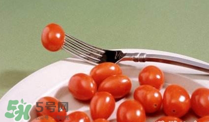 圣女果是什么？圣女果是西紅柿嗎