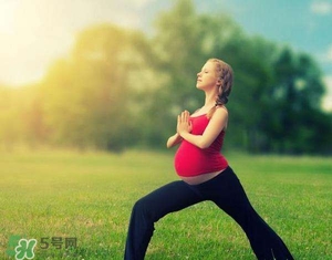 孕婦能吃雞精嗎？孕婦能吃雞精和味精嗎？