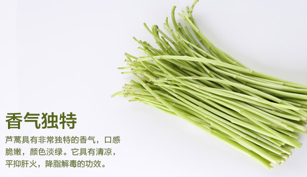 蘆蒿是發(fā)物嗎？蘆蒿是不是發(fā)物