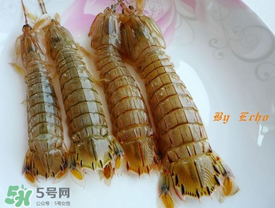 蝦爬子能放多久？蝦爬子怎么保存時間長？