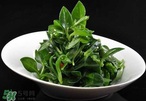 冰草是田七嗎？冰草和田七一樣嗎？
