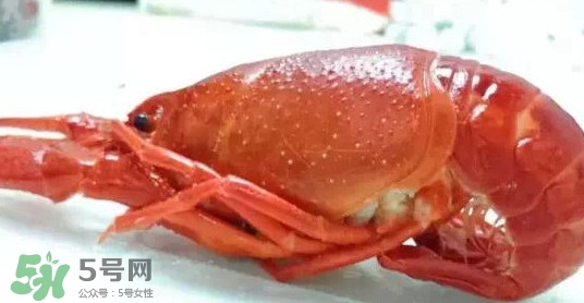 蝦子哪些部位不能吃？蝦子哪些地方不能吃