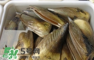 青口貝如何清洗？青口貝怎么處理