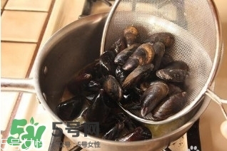 青口貝如何清洗？青口貝怎么處理