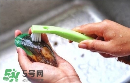 青口貝如何清洗？青口貝怎么處理