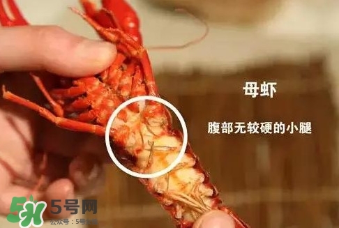 蝦子怎么吃？蝦子的吃法