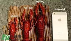 蝦子怎么吃？蝦子的吃法