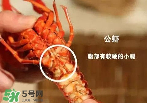 蝦子怎么吃？蝦子的吃法