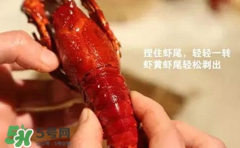 蝦子怎么吃？蝦子的吃法