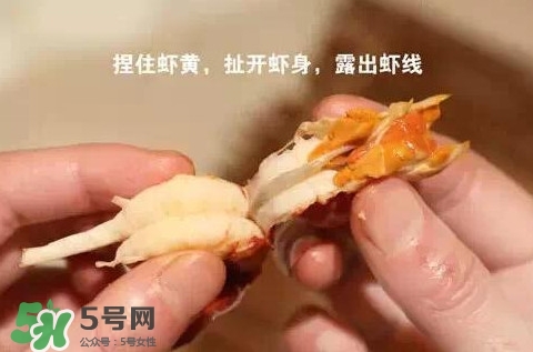 蝦子怎么吃？蝦子的吃法