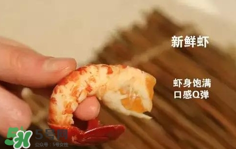 蝦子怎么吃？蝦子的吃法