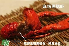 蝦子怎么吃？蝦子的吃法