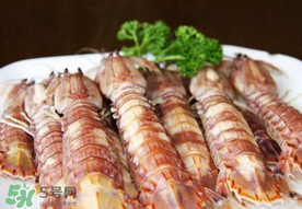 蝦爬子是寒性的嗎？蝦爬子是熱性的還是寒性的？