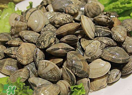 蜆子不能和什么一起吃？吃蜆子不能吃什么？