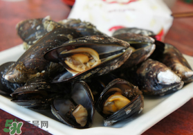 淡菜什么時候最肥？淡菜什么時候吃最好？