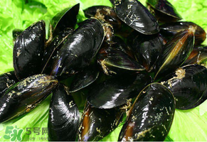 哪些人不適合吃淡菜？淡菜什么人不能吃？